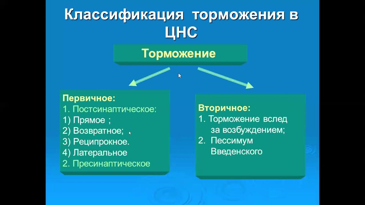 Физиология 5 смотреть онлайн