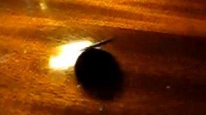 Вращение монеты - The rotation of the coin