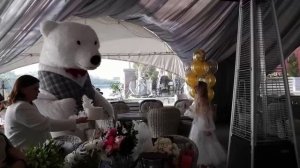 Мишка на свадьбе! Поздравление белый медведь