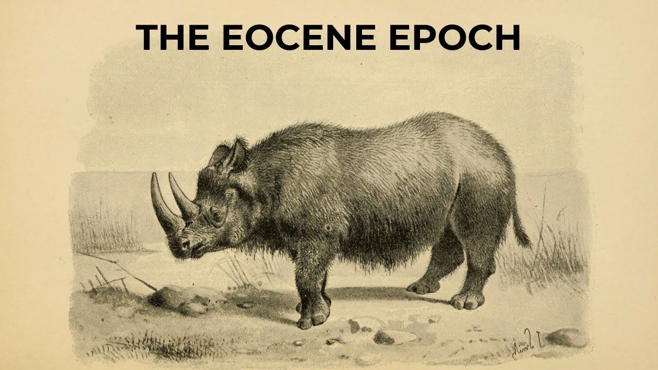 The Eocene Era смотреть онлайн