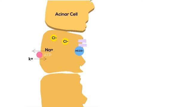 Production and Secretion of Saliva | Physiology Animation Video | V-Learning™ смотреть онлайн