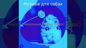 Звуки (Щенки)