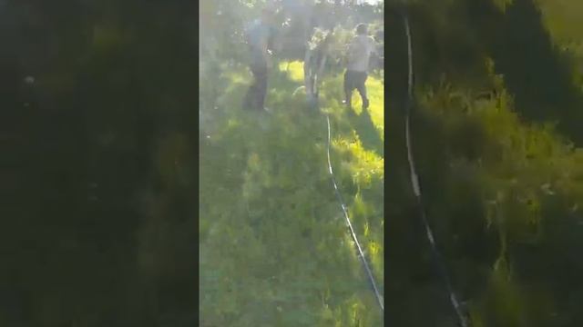 Мордыш (Суздальский район) вода пошла. смотреть онлайн