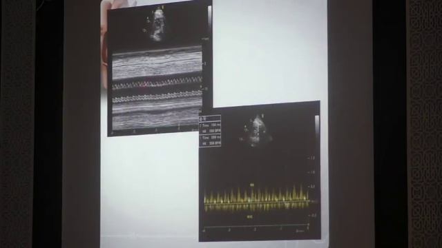 Dr Suzan Bayoumy смотреть онлайн