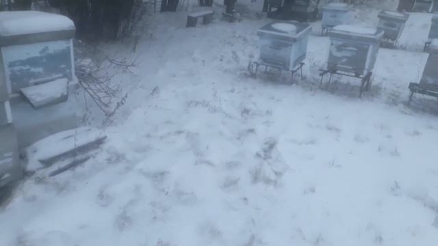 Погода 25.12.2021 г. смотреть онлайн