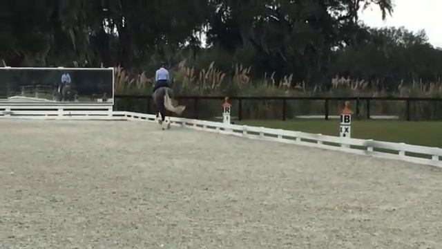 "Cooley Quicksilver" - HS Eventing смотреть онлайн
