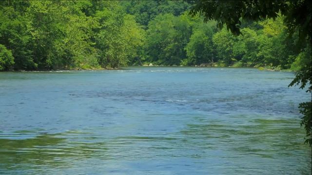Relaxing Music To Melt Away Stress and Anxiety, Relaxation Video In 4k смотреть онлайн
