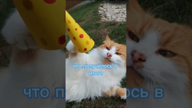 какие фото я хотела получить,какие получились в итоге 😂 смотреть онлайн