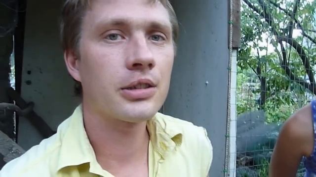 Куры несушки Хай Лайн Браун // Чёрная полоса затянулась... смотреть онлайн