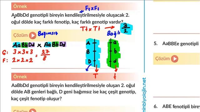 Kolay Yöntemlerle Kalıtımda Çaprazlamalar смотреть онлайн