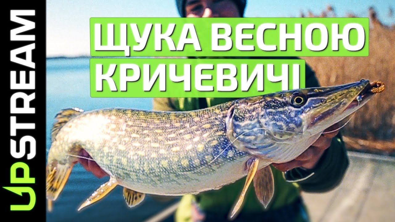 ЩУКА весною. Озеро КРИЧЕВИЧІ / ЩУКА весной. Озеро КРИЧЕВИЧИ | UPSTREAM смотреть онлайн