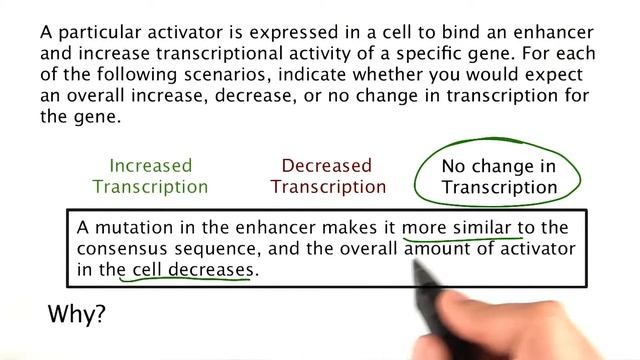 Problem 11 - Tales from the Genome смотреть онлайн