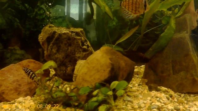 Мой аквариум 700 литров смотреть онлайн