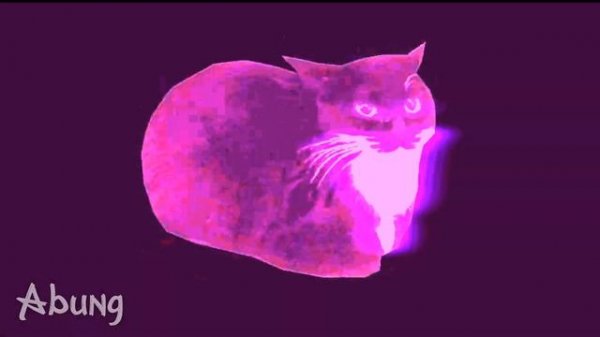 PHONK CAT😈 / maxwell spin / maxwell the cat