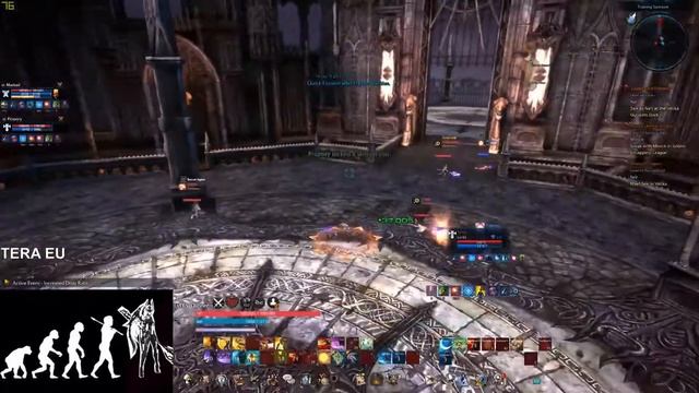 Tera EU: Valkyrie Champion's Skyring "Premade" - 8 смотреть онлайн