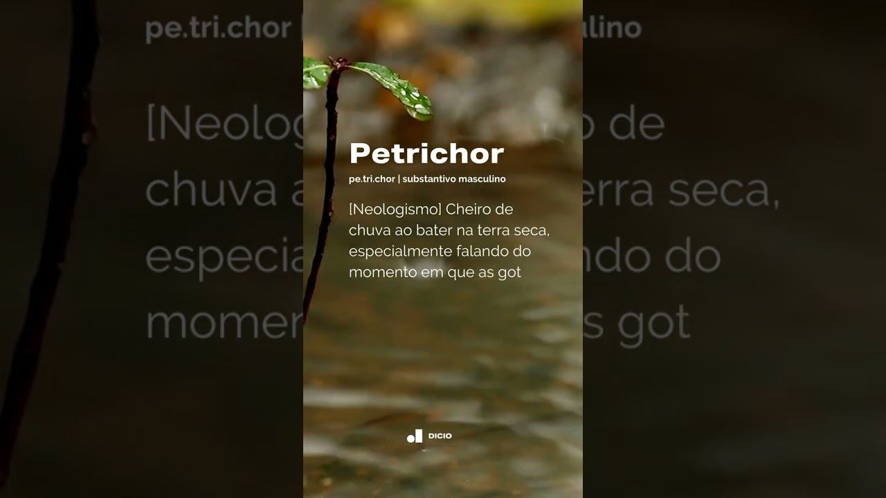 Significado de Petrichor смотреть онлайн