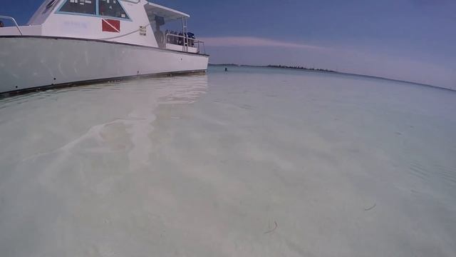 Cayo Largo and Havana смотреть онлайн