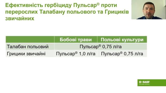 Якою є ефективність Пульсар® проти перерослого талабану польового та грициків звичайних? смотреть онлайн