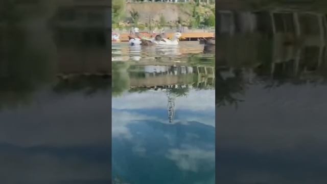 Дагестан. Видео под водой. смотреть онлайн