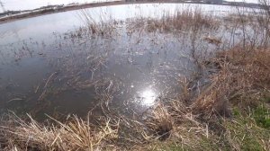 Охота на карасей мутантов(рыбалка с рогаткой)