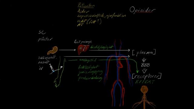 Anestesi07 Opioider1 смотреть онлайн