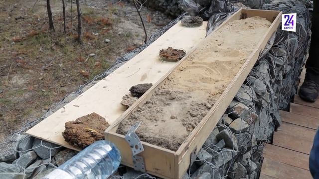 В Сургутском районе прошел образовательный форум "Друзья Барсовой горы" смотреть онлайн