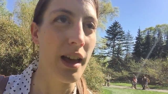 Vlogaround NYC: Fioritura dei ciliegi a Brooklyn смотреть онлайн