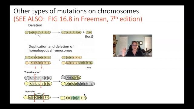 BIO 102- Evolutoinary Processes: Mutation смотреть онлайн