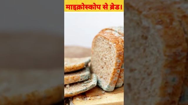 Microscope se bread ki phabpudi yesi dikhati hai#short смотреть онлайн