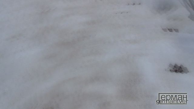 Kol-O-Bok - Собачий блюз смотреть онлайн