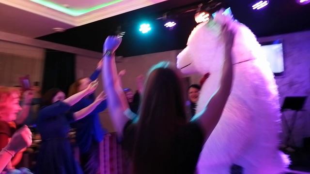 Мишка как обычно мега хорош! Поздравление белый мишка смотреть онлайн