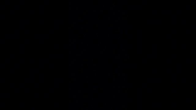 Просто такая сильная #любовь⬛❤️❤️❤️ #питомцы #моникапитомцыикоманда #тренды #котик #чихуахуа смотреть онлайн