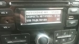 Скрытое меню магнитолы Рено Дастер,как посмотреть напряжение и ошибки!!!