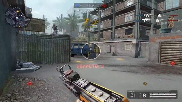 Ace | Daily Cup Bravo