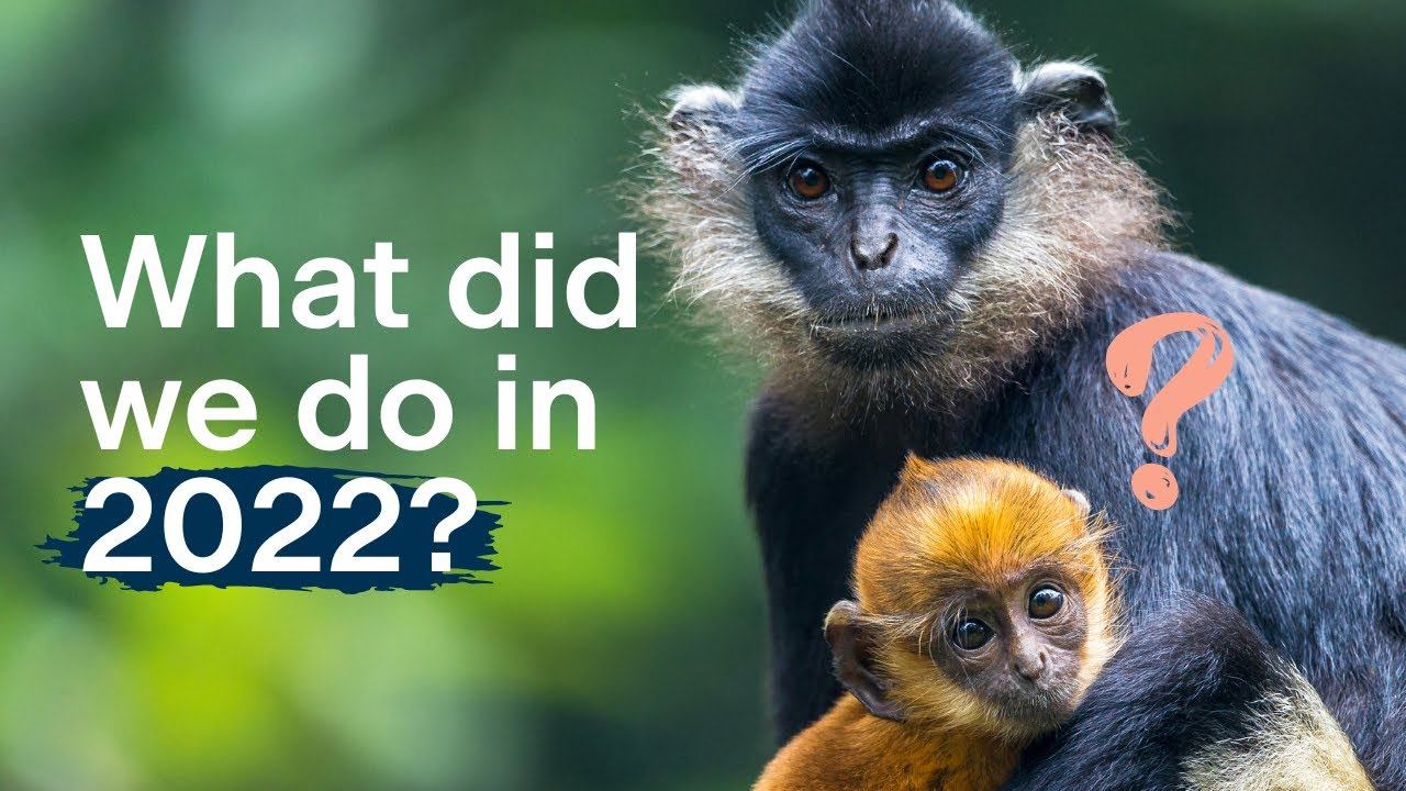 What did we do in 2022? - Fauna & Flora Impact Report смотреть онлайн