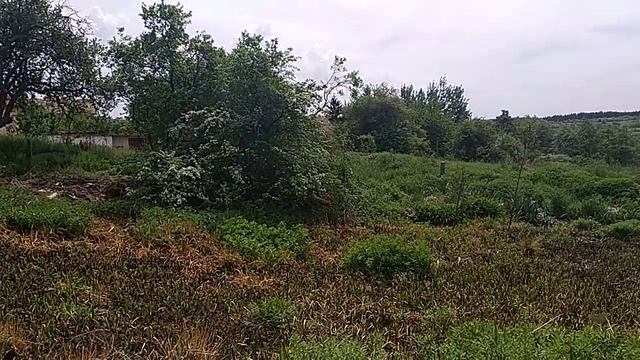 Тера Булгари / парцел в село Кладница в близост до стадиона смотреть онлайн