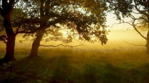 РОДИНА. МИХАИЛ ЛЕРМОНТОВ. Слушаем стихотворение