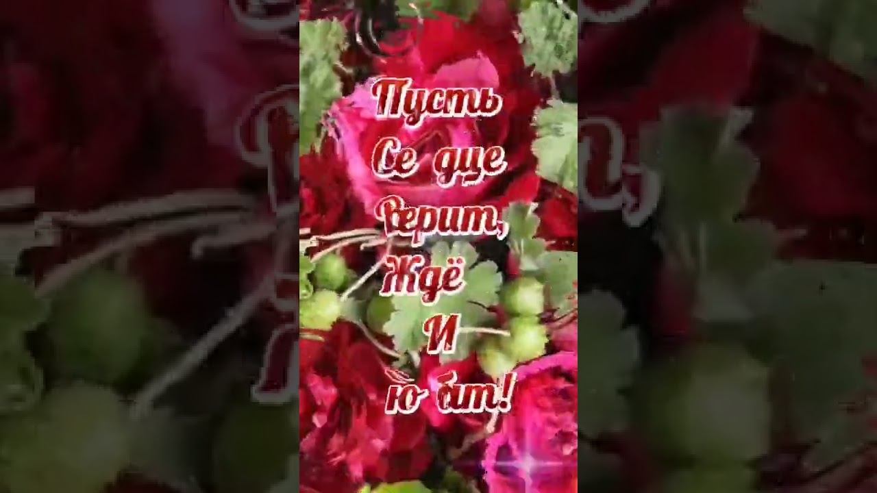 Пусть каждый день счастливым будет!.. смотреть онлайн