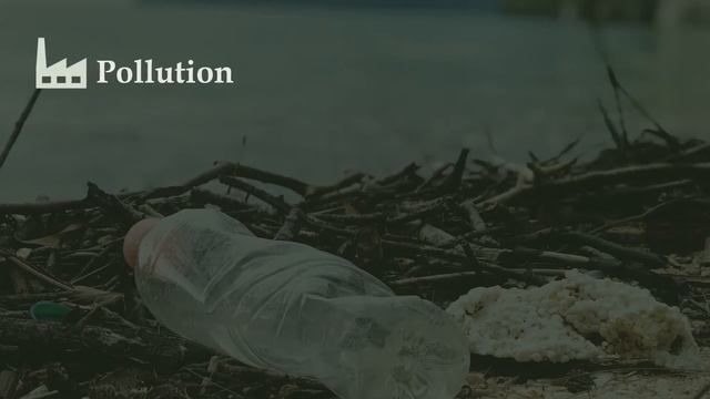 Free Flora and Fauna PowerPoint Template Presentation for Download ! смотреть онлайн