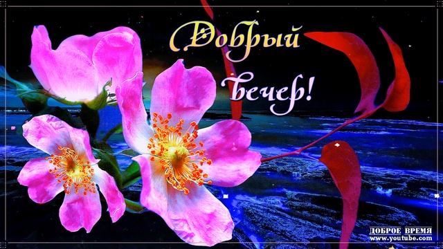 КРАСИВЫЕ ПЕСНИ ОБО ВСЁМ...ДОБРЫЙ ВЕЧЕР! смотреть онлайн