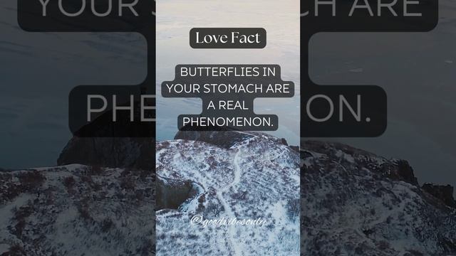 The Science Behind Butterflies in Your Stomach: Exploring a Real Phenomenon смотреть онлайн