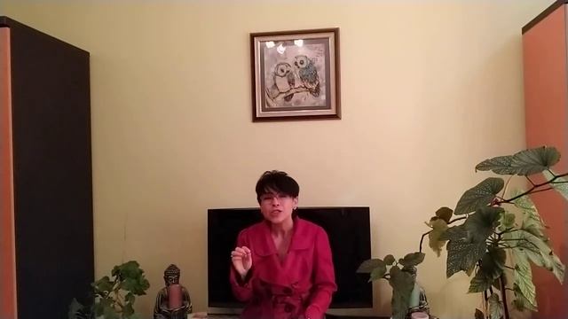 СТРЕЛЕЦ НОЯБРЬ РЕАЛИЗАЦИЯ ,РЕЛАКС, РЕШЕНИЕ смотреть онлайн