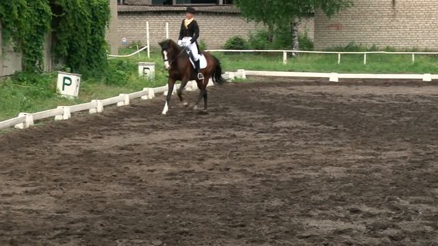 13 Звонцова Алина и Дублон смотреть онлайн