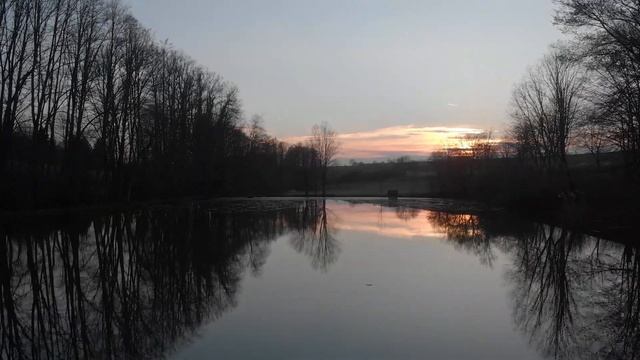 How To Get Emission Sticker In Germany. Emission Class Sticker (Umweltplakette).