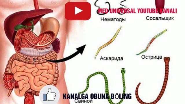 UY SHAROITIDA GIJJALARDAN QUTILISHNING ENG OSON YO'LI HAQIDA MA'LUMOT. #gijjalardan Qutulish