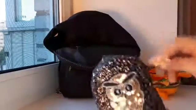 Моя ручная кладь. УЛЕТАЮ ЗАВТРА смотреть онлайн