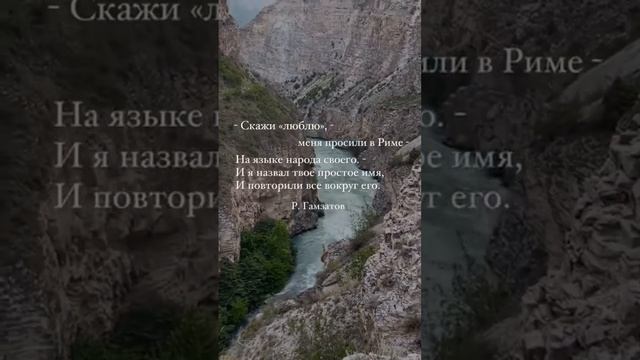 7 ноября 2023 г. смотреть онлайн