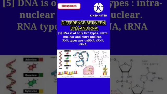 Difference between DNA and RNA смотреть онлайн