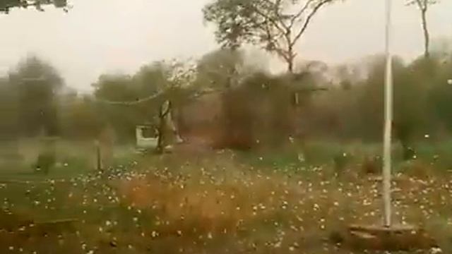 Ето надо видеть Град в размер кулака смотреть онлайн