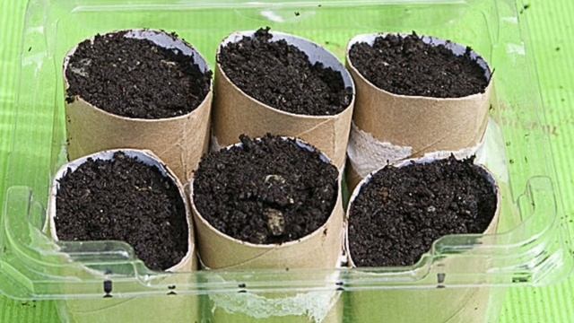 Unique ideas for Seedling || Des idées uniques pour les semis || Amina's Gulzaria смотреть онлайн